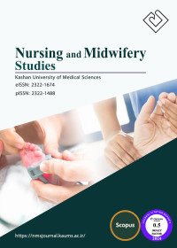 Image of Nursing and Midwifery Studies
